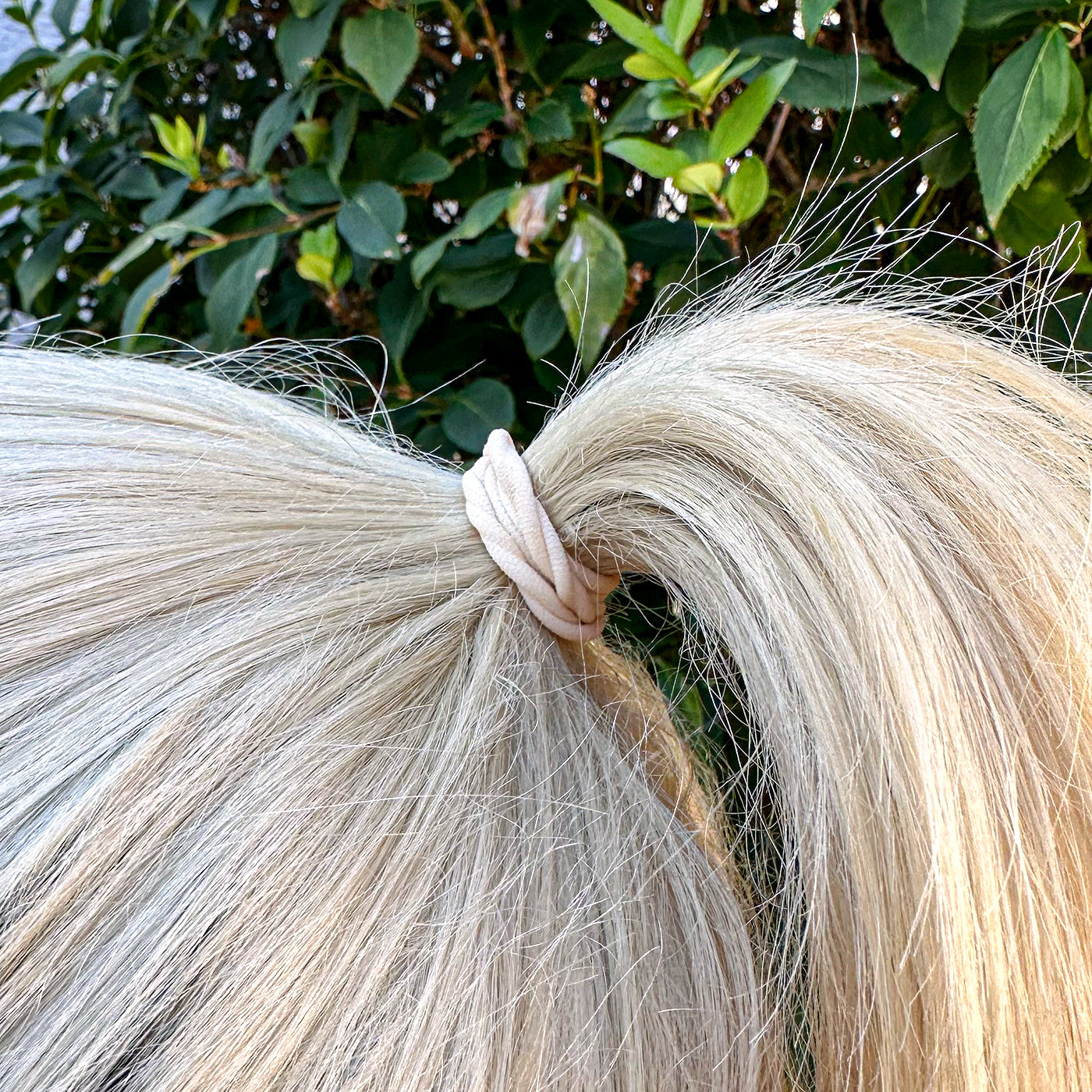 Haarschonende Haargummis weich (gold und hautfarbe | 20 Stück | 5cm) beige - HAARallerliebst