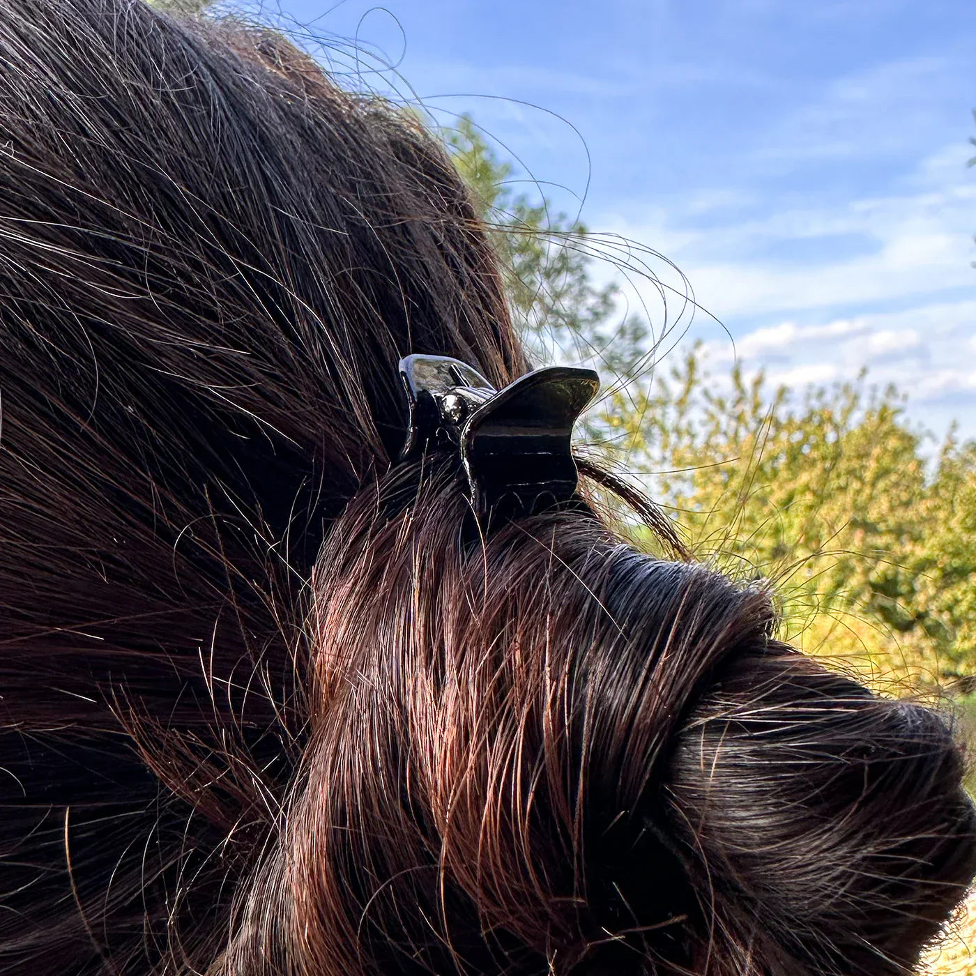 Haarklammern in verschiedenen Farben, braun, schwarz, transparent und für Kinder  