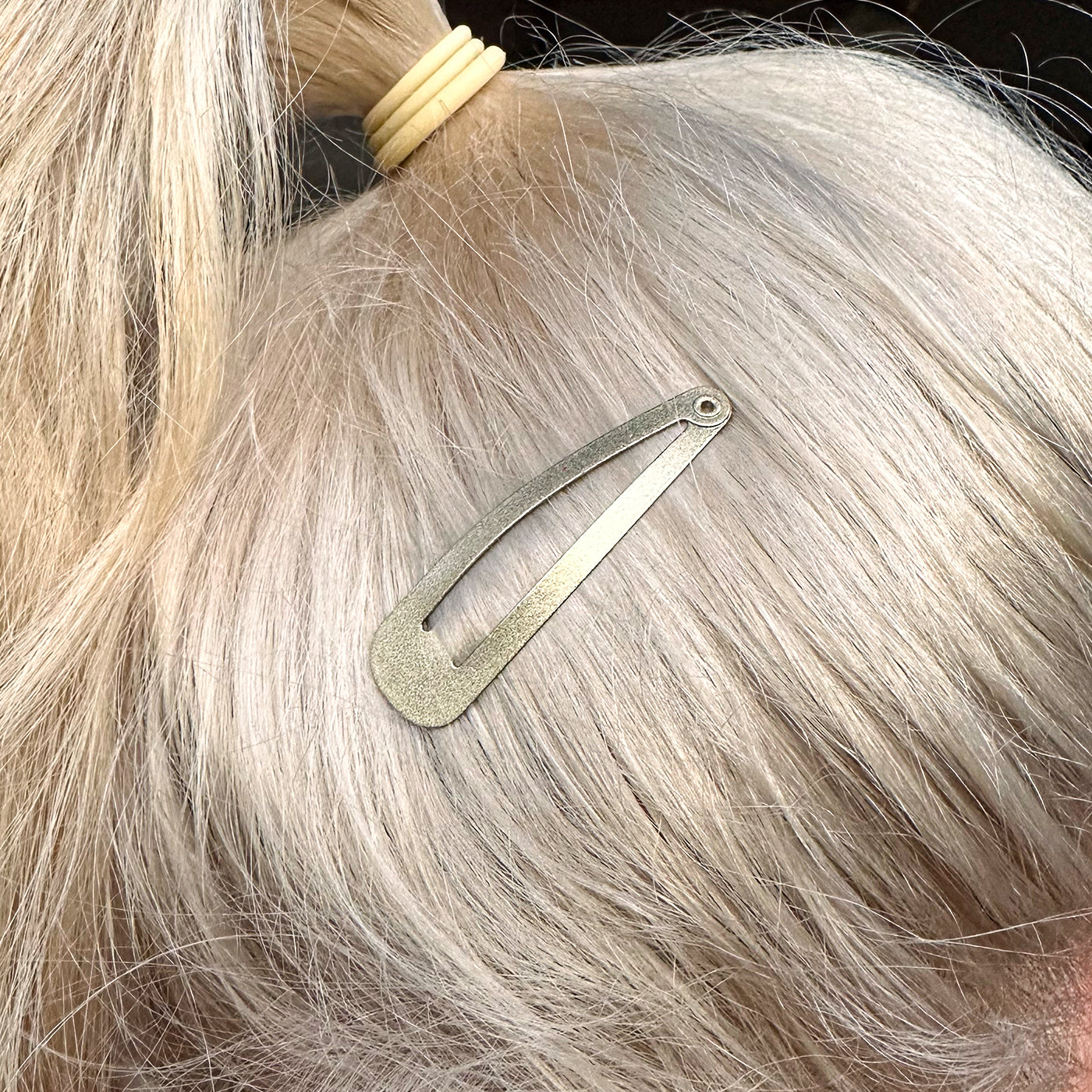 Haarspangen (gold schimmernd | 20 Stück | 5cm) - HAARallerliebst