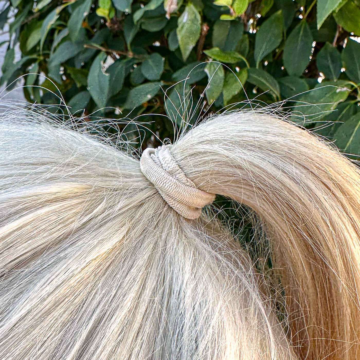 Haargummis mit Gummihaftung (beige | 12 Stück | 5mm breit) - HAARallerliebst